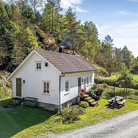 Hostel Fosseland Feda