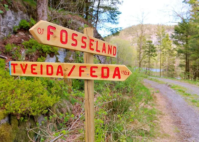 Fosseland Gjestegard Hostel Feda