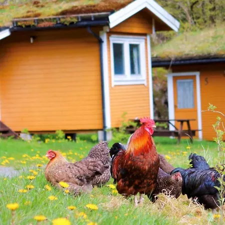 بيت شباب Fosseland Gjestegard *